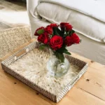 Set of 2 Decorative Trays NDEBELE Rattan Natural