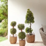 Set of 3 Plant Pots AUCUBA 26/34/44 cm Light Brown